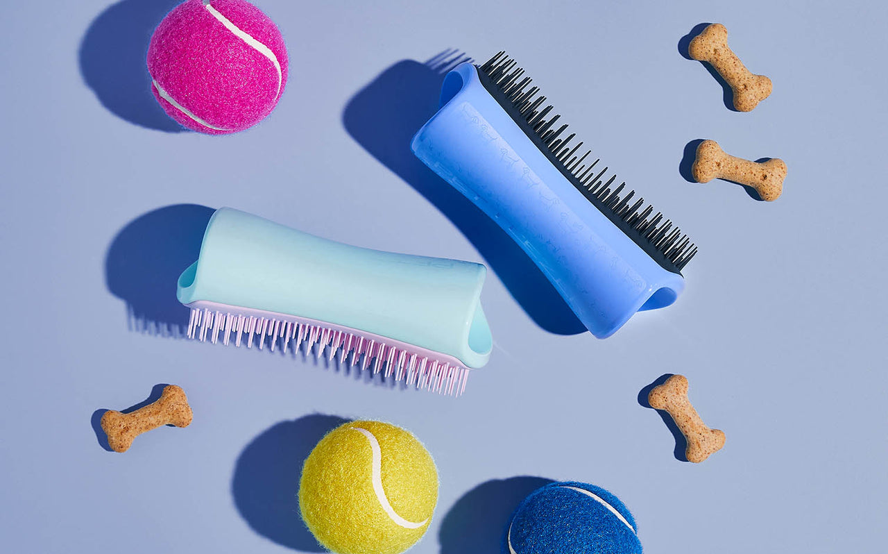 Pet Grooming Basics: The Differences Between De-shedding and Detangling