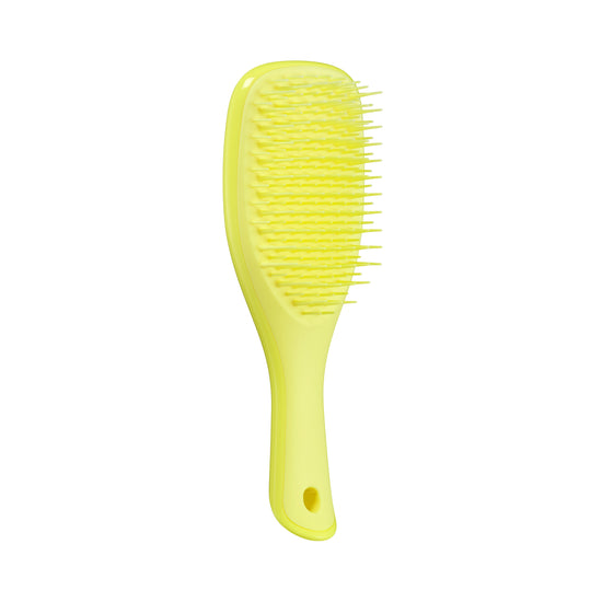 The Ultimate Detangler
