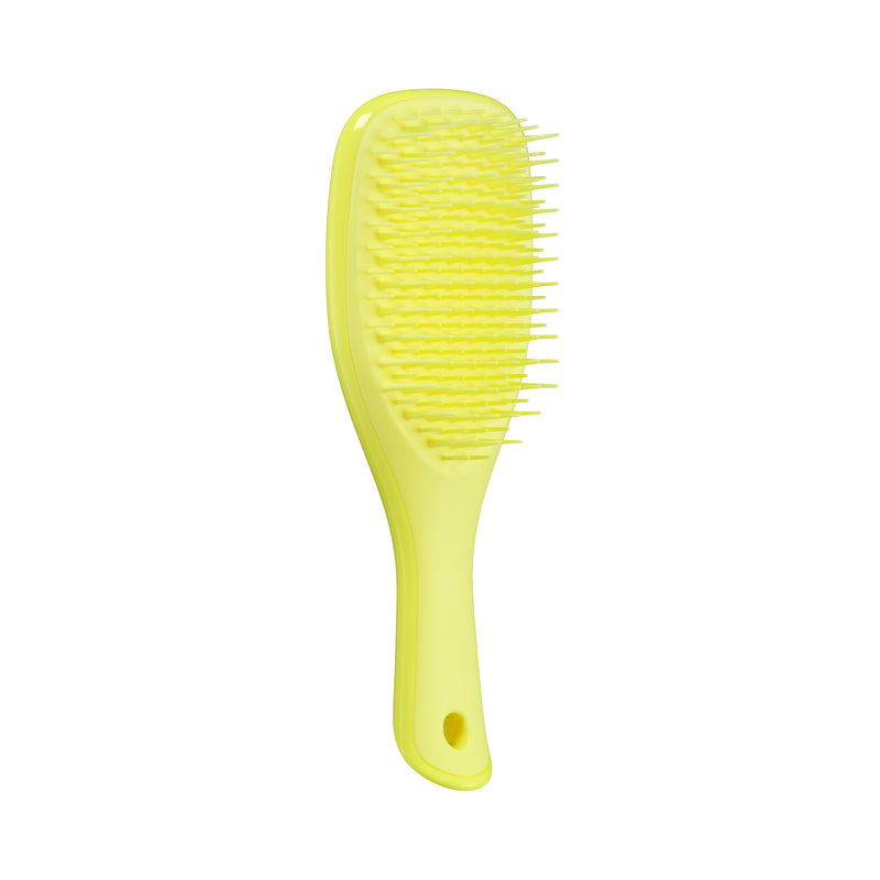 The Ultimate Detangler