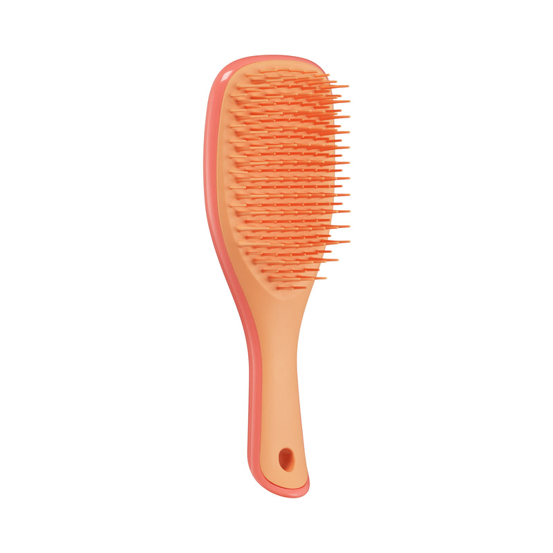 The Ultimate Detangler