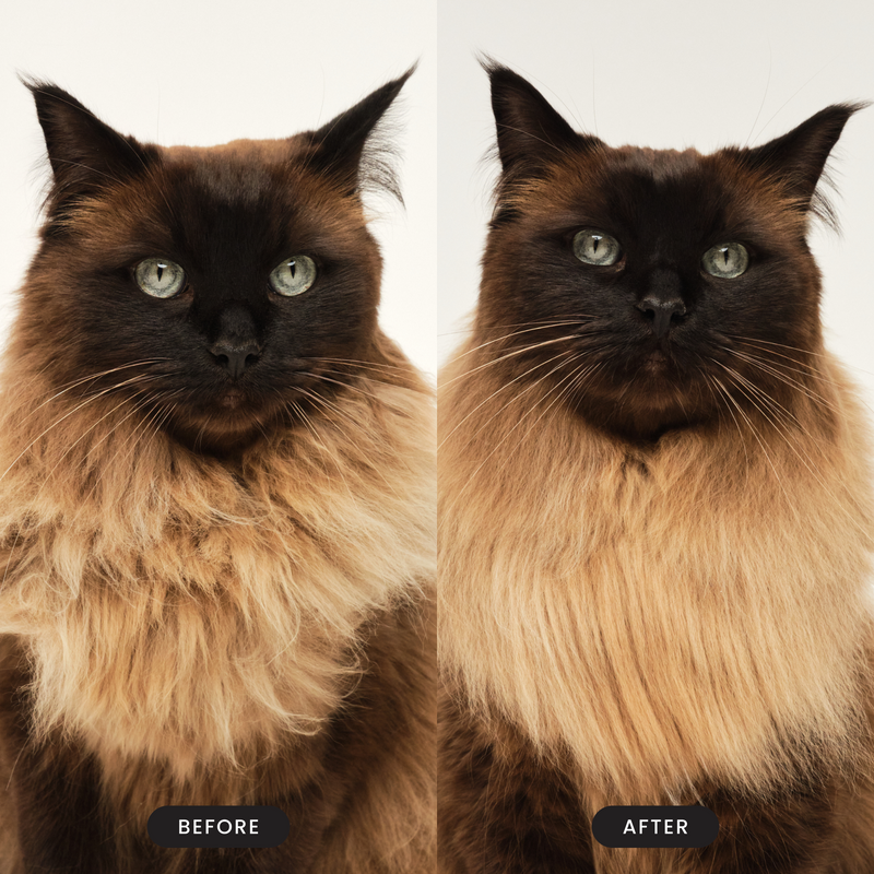 Cat Grooming Brush