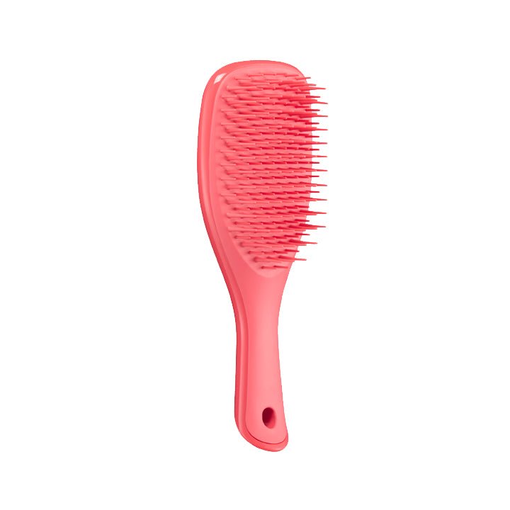 The Ultimate Detangler