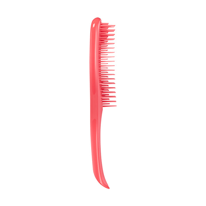 The Ultimate Detangler