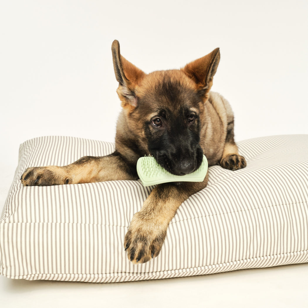 Loved by humans, adored by pets.