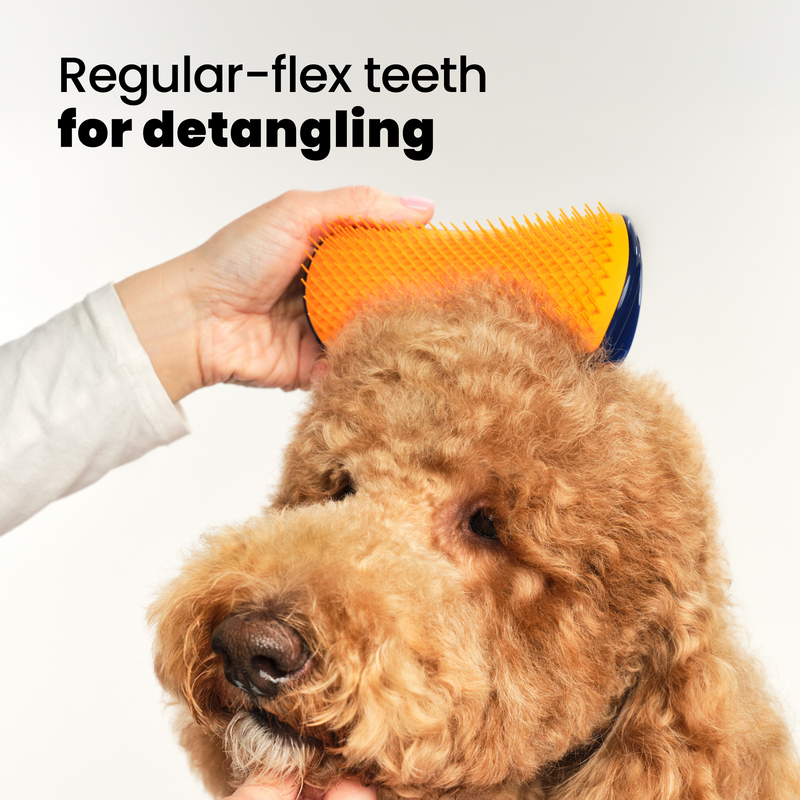 Detangling Dog Grooming Brush
