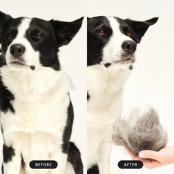De-shedding Dog Grooming Brush