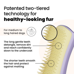 Detangling Dog Grooming Brush