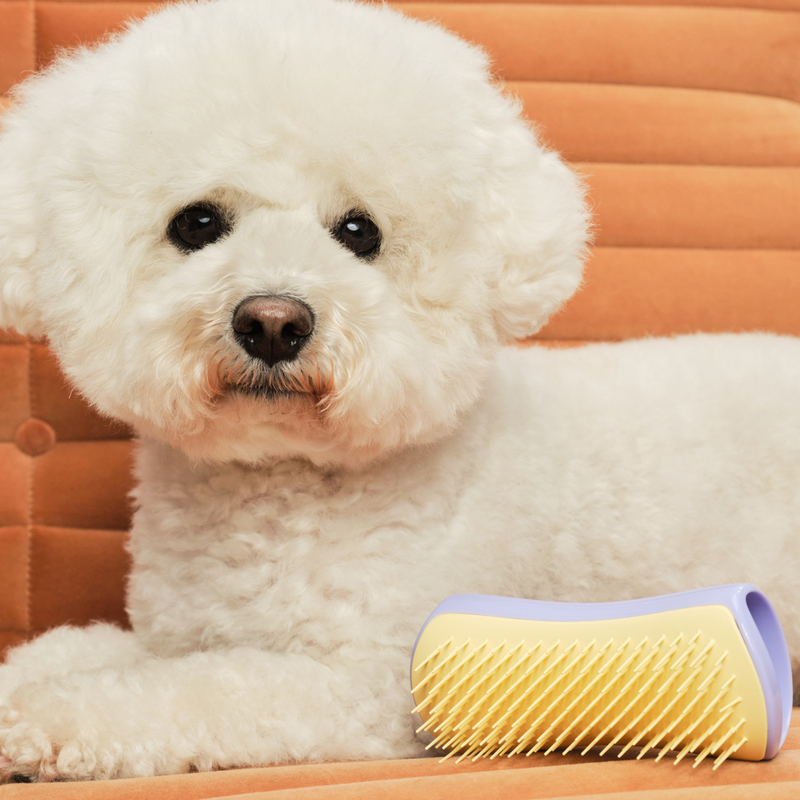 Detangling Dog Grooming Brush