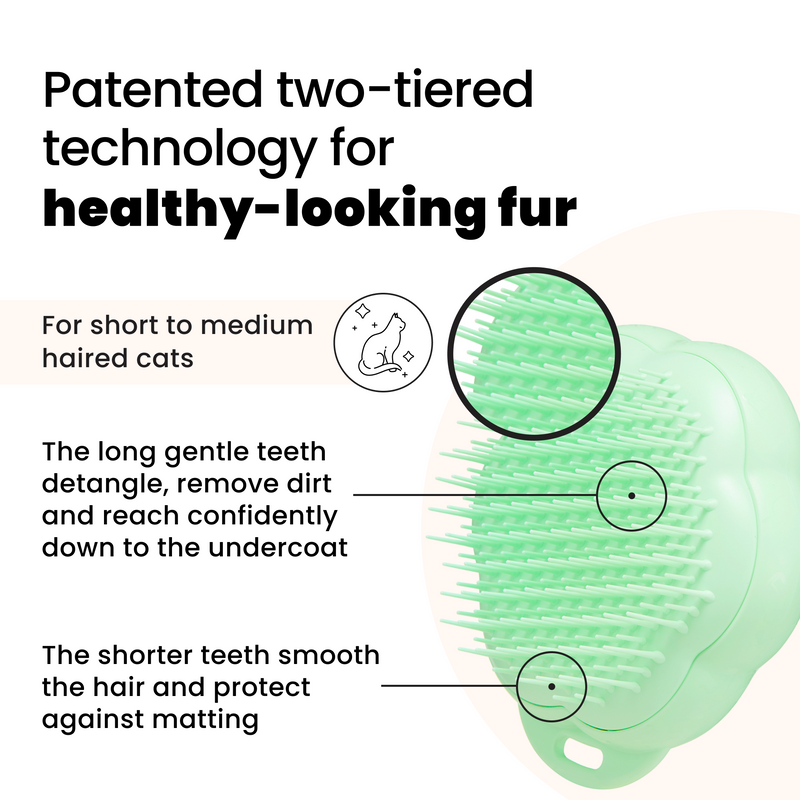 Cat Grooming Brush