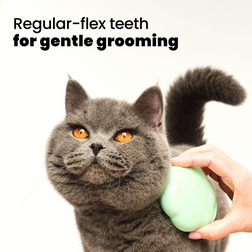 Cat Grooming Brush