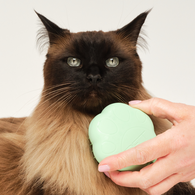 Cat Grooming Brush | Tangle Teezer – Tangle Teezer US