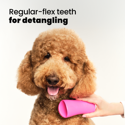 Detangling Dog Grooming Brush