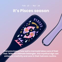 The Ultimate Detangler Zodiac