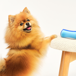The De-shedding Pet Teezer Duo