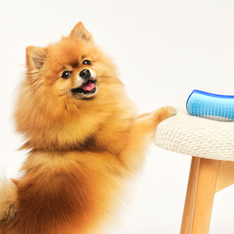 The De-shedding Pet Teezer Duo