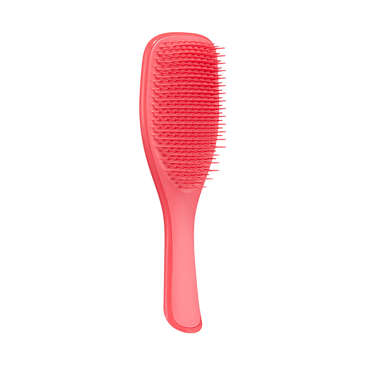 Tangle Teezer Ultimate Detangler Hair Brush - Teal : Target