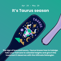 The Ultimate Detangler Zodiac